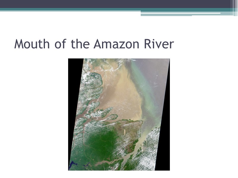 Mouth of the Amazon River